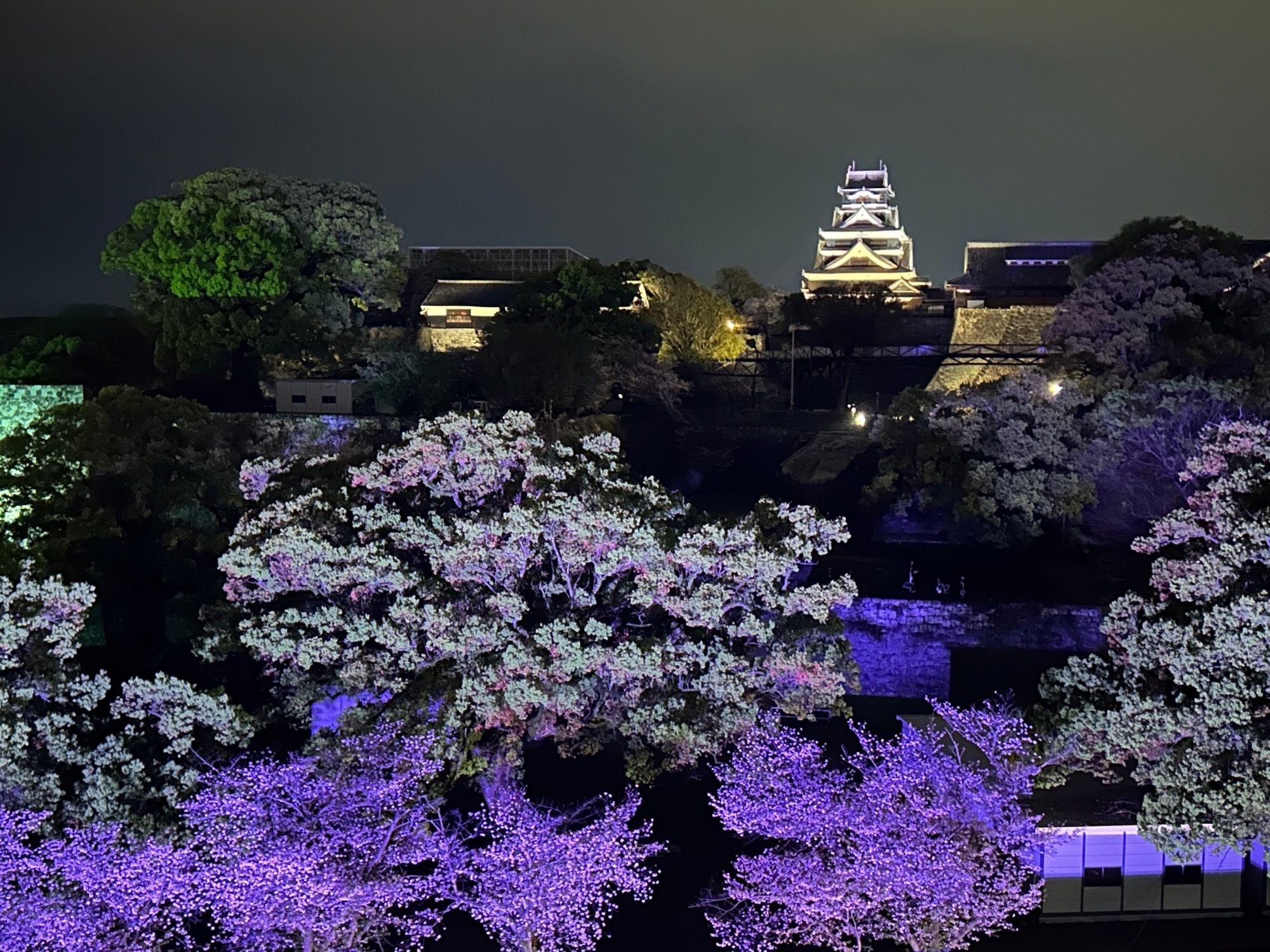 ニュージーランド旅行